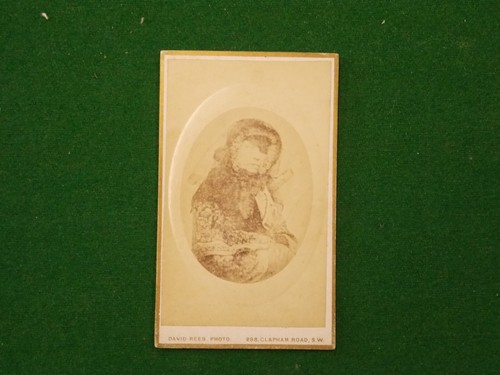 Cdv20 vintage antique carte - cdv20,