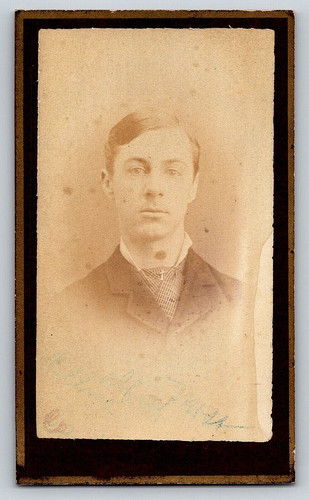 Angola indiana usa portrait - angola, of